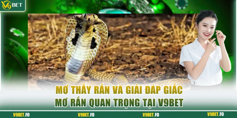 mơ thấy rắn