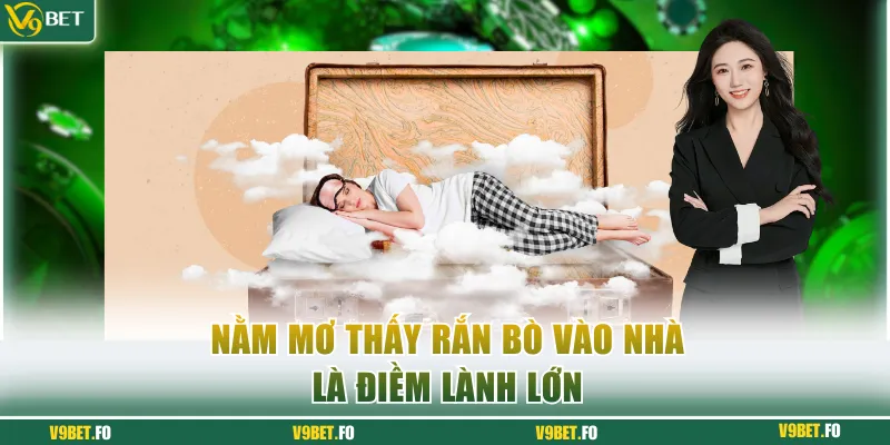 Nằm mơ thấy rắn bò vào nhà là điềm lành lớn