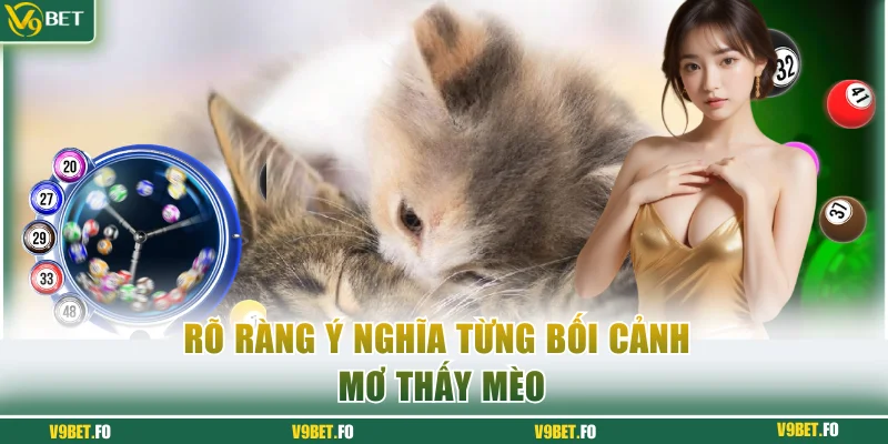 Rõ ràng ý nghĩa từng bối cảnh mơ thấy mèo