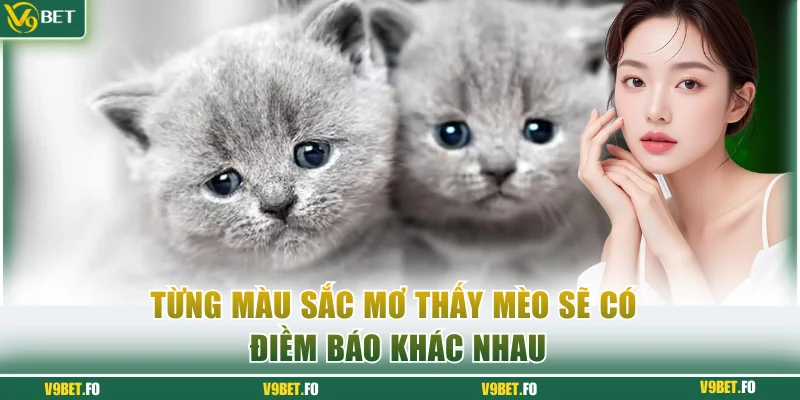 Từng màu sắc mơ thấy mèo sẽ có điềm báo khác nhau